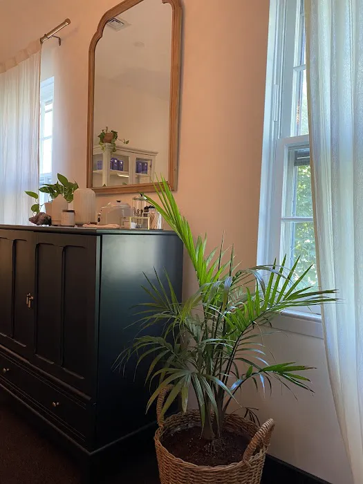 The Bare. Collective Picture 2