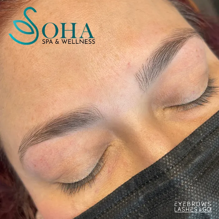 Soha Spa and Wellness Picture 3