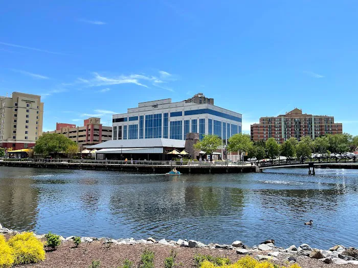 Eyebrows Lashes and Go! Picture 4