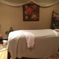 Art of Aesthetics Skin Care ico