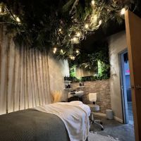 The Villa Skincare ico