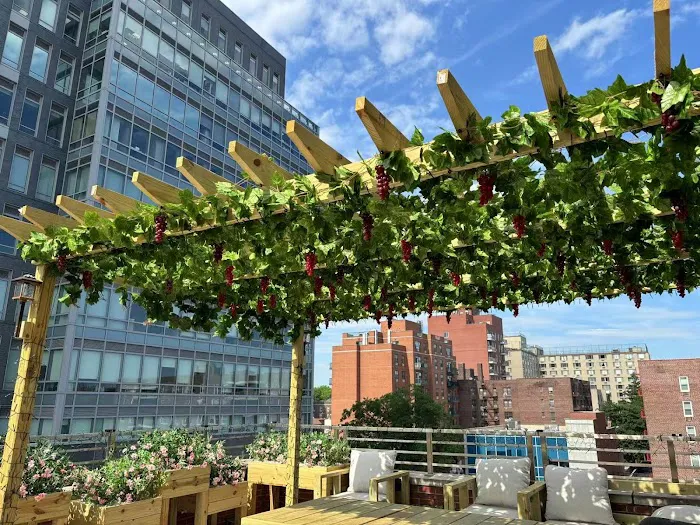 梧桐树美容护肤Sycamore Tree Skin Care Picture 3