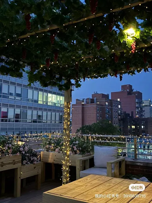 梧桐树美容护肤Sycamore Tree Skin Care Picture 2