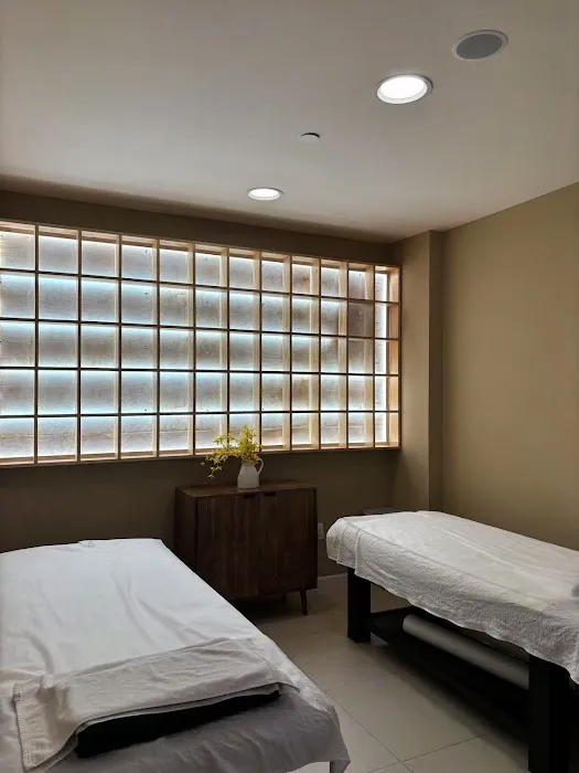 梧桐树美容护肤Sycamore Tree Skin Care Picture 8