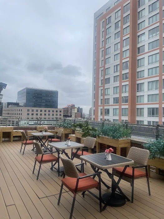 梧桐树美容护肤Sycamore Tree Skin Care Picture 5