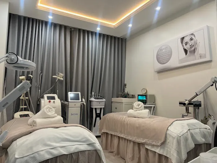 La Peau 美資堂- Thermage 熱瑪吉 M22光子嫩膚 紋眉紋綉野生眉 水光針脸部提升法令纹微针微整形 Picture 1