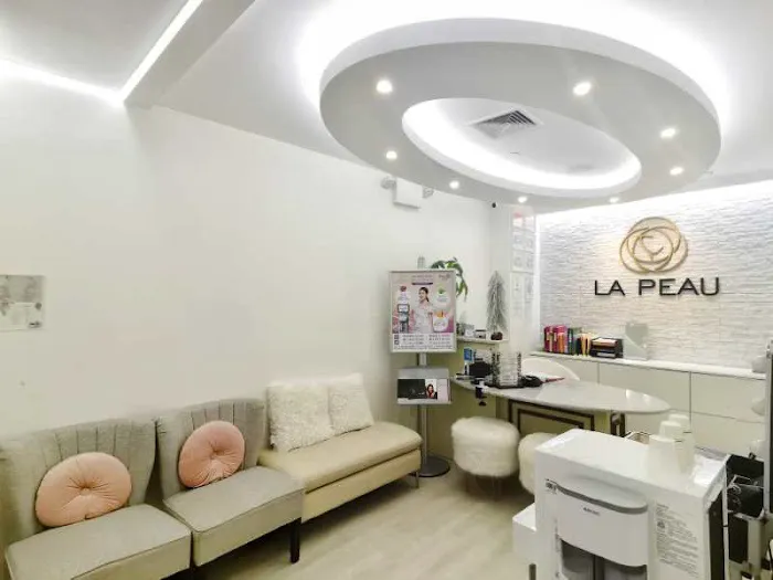 La Peau 美資堂- Thermage 熱瑪吉 M22光子嫩膚 紋眉紋綉野生眉 水光針脸部提升法令纹微针微整形 Picture 2