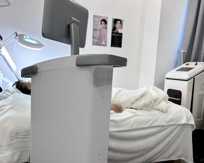 La Peau 美資堂- Thermage 熱瑪吉 M22光子嫩膚 紋眉紋綉野生眉 水光針脸部提升法令纹微针微整形 Picture 5