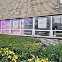 All In Aesthetics Studio LLC ico