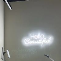 Esthetics By Rasheeda LLC ico