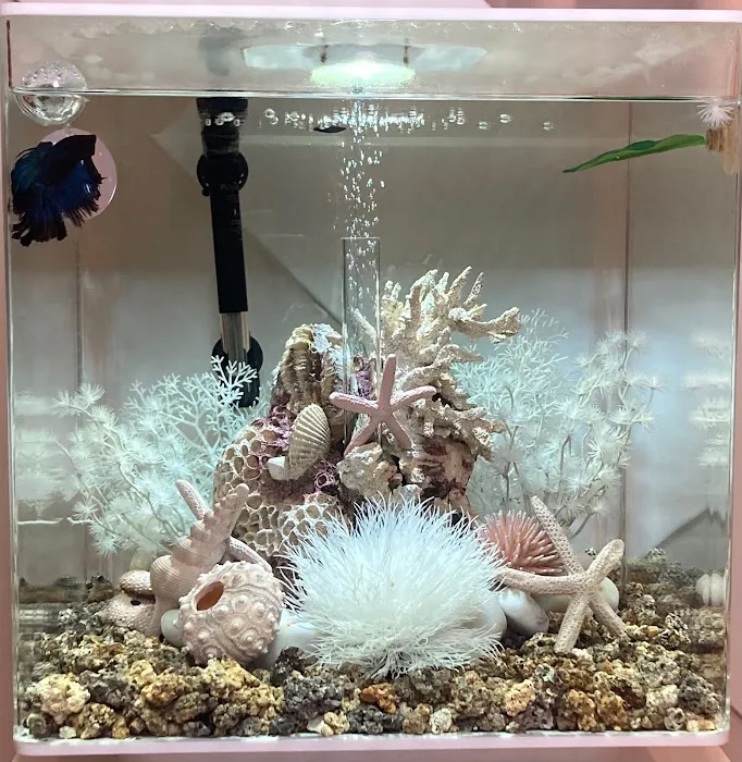 Skin Secrecy Picture 2