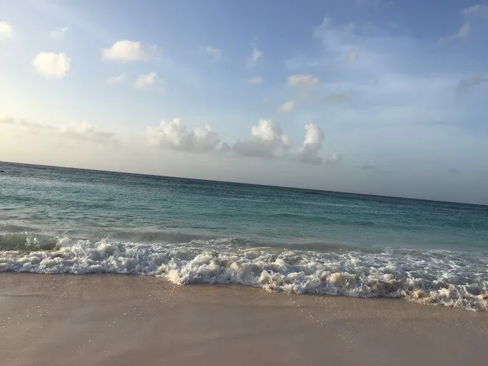 Skin Care Garden City Picture 1