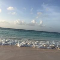 Skin Care Garden City ico