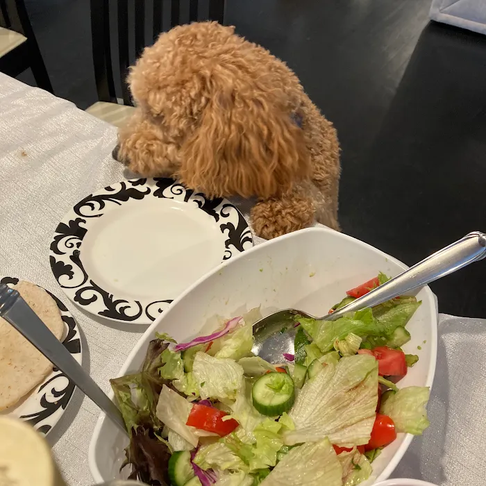 Skin Care Garden City Picture 3