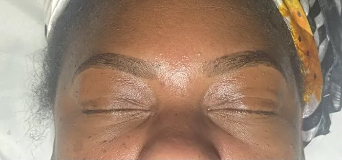 Face Artistry - Traveling Esthetic Spa Picture 6