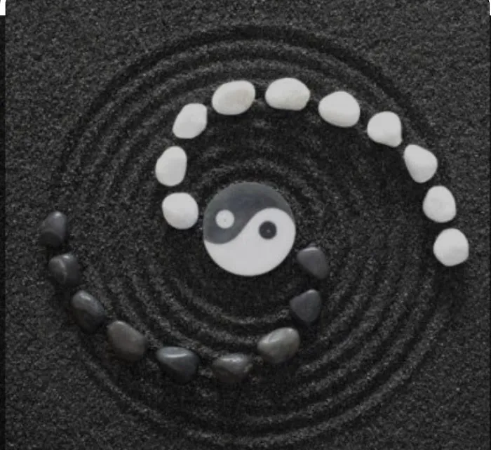 STEFINY’s Picture 4