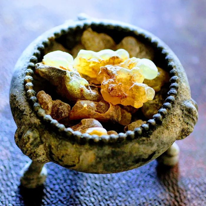 FACES of SARATOGA Picture 5