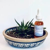 Rachel Ferraro Esthetics Skincare Products and Services ico