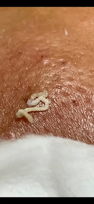 Aesthetics by Connie Picture 4