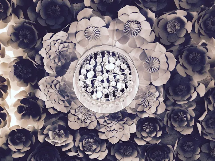 Aesthetics by Connie Picture 8