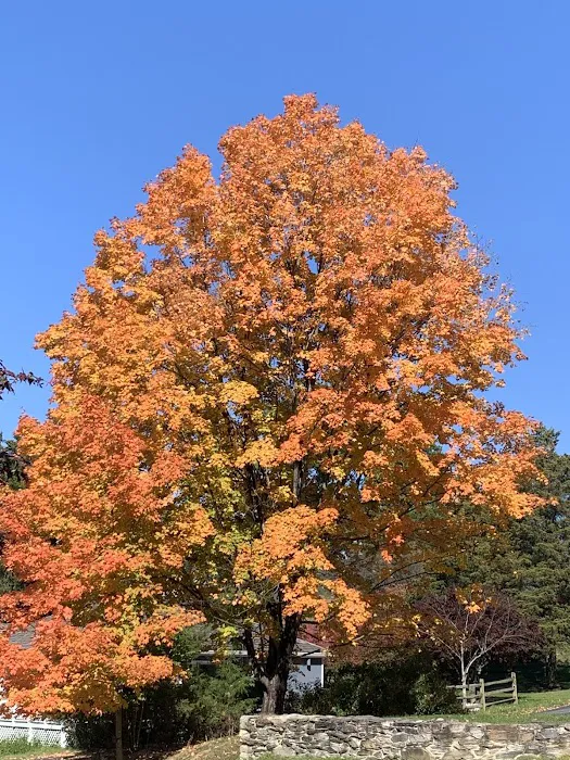 Aylin Skin Care Therapy & Acne Clinic Picture 3