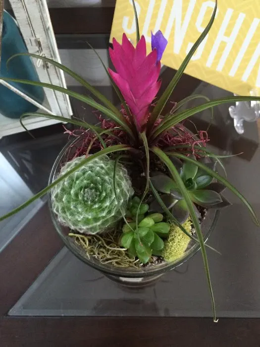 Milena Massage and Skin Care Picture 4