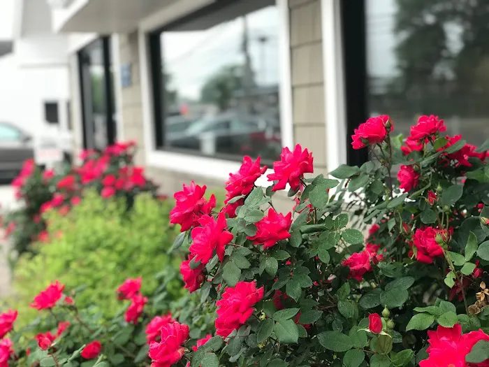 Belaray Dermatology Picture 3