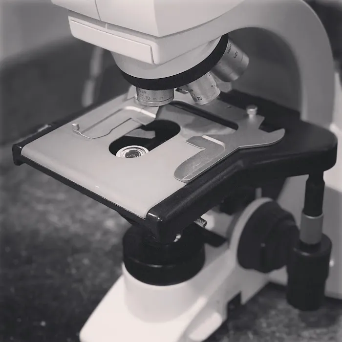 Belaray Dermatology Picture 7