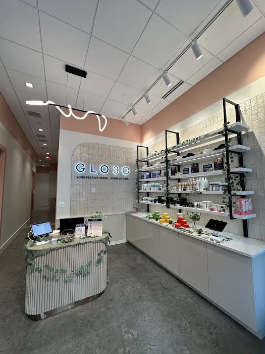 GLO30 Ashburn One Loudoun Picture 2