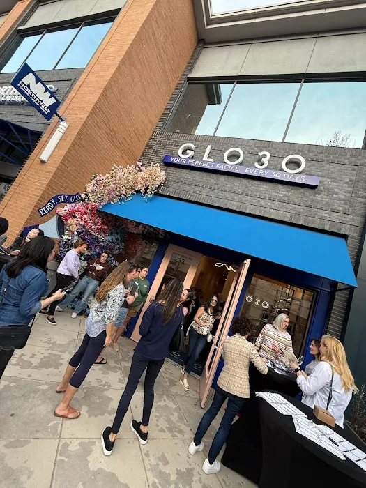 GLO30 Ashburn One Loudoun Picture 10