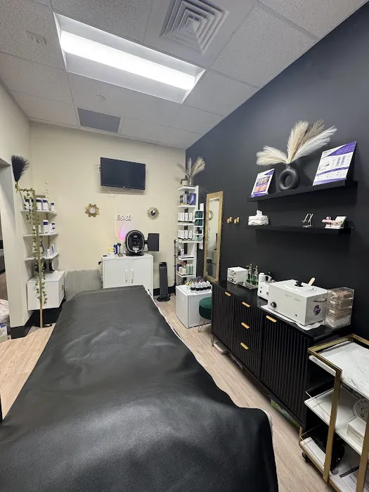 The Skyn Lounge- Dix Hills Brazilian Wax & Vajacials Picture 1