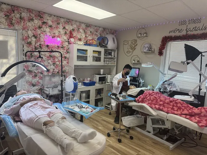 Aesthetic Skin Beauty Picture 3