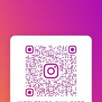 Middleburg Skin Care ico