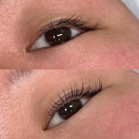 Anna's Secret Lab ico