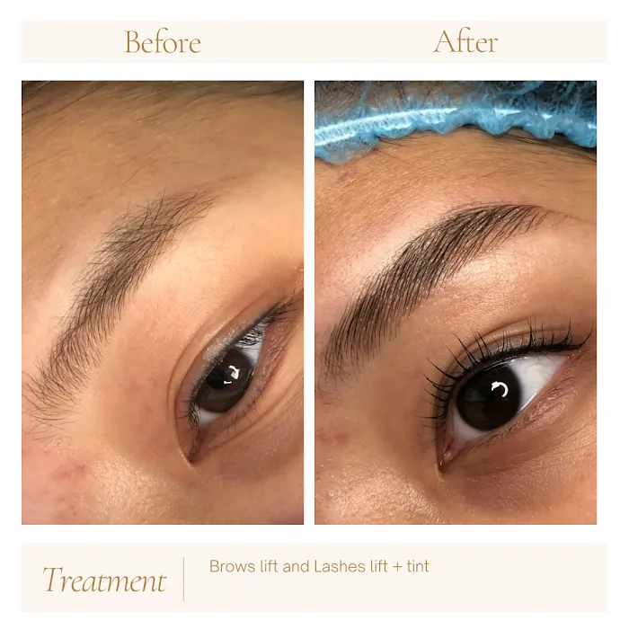 Anna's Secret Lab Picture 10