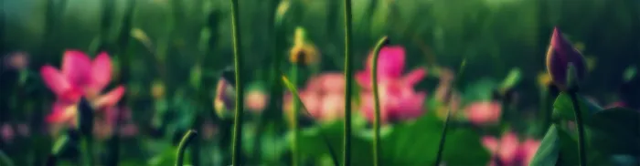 Down To Earth Skincare Picture 3