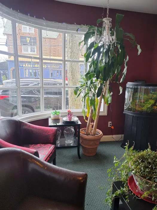 Laser Me New York Picture 5