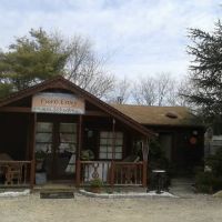 Pure Envy Aesthetics ico