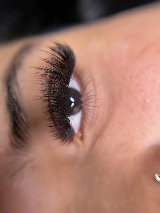 Lush Beautè Haus Picture 3