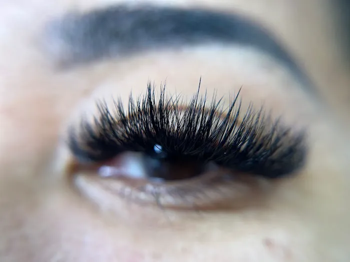 Lush Beautè Haus Picture 8