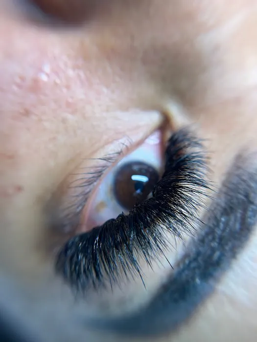 Lush Beautè Haus Picture 9