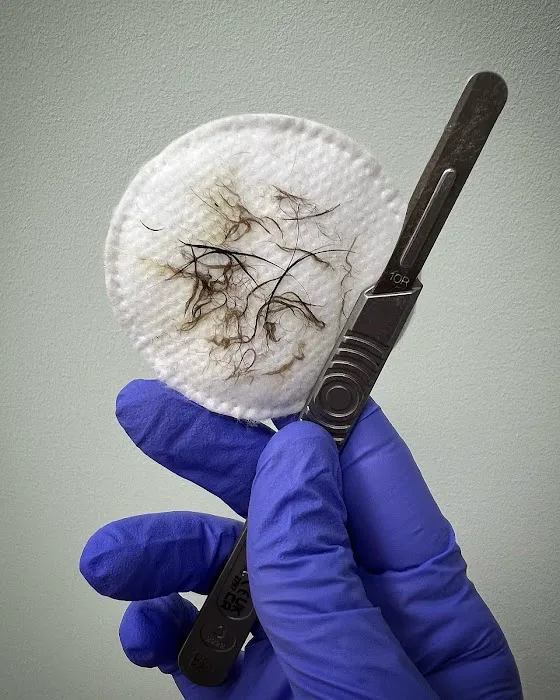 Dahlia Aesthetics LI, Inc Picture 2