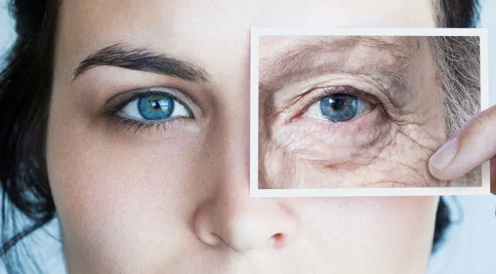 Sea Side Spa Picture 3