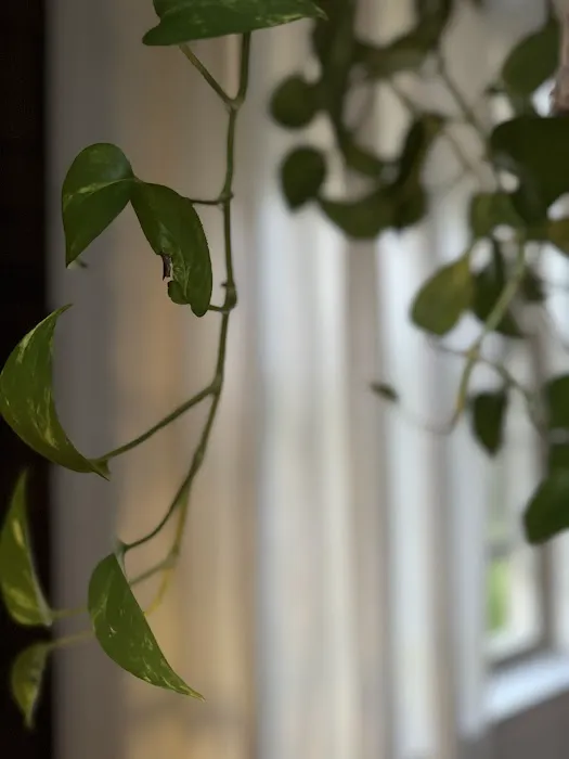 Skin/Craft By Britt Picture 4