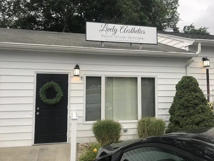 Lively Aesthetics Picture 3