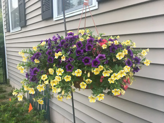 Jahmeir Skincare Studio Picture 5