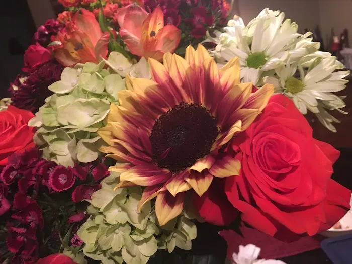 Jahmeir Skincare Studio Picture 4