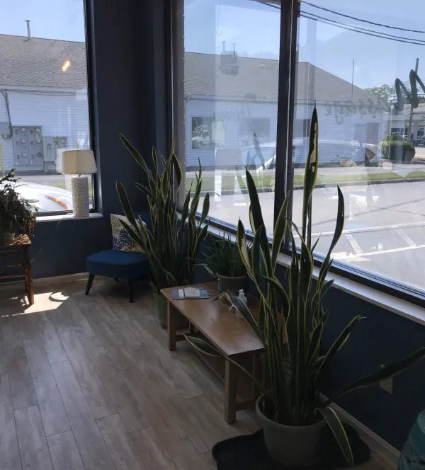 Skin and beauty by Sheba Picture 4