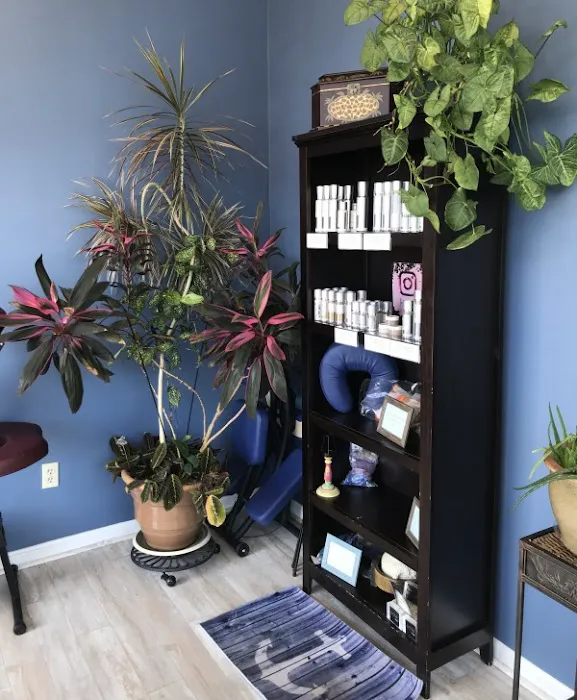 Skin and beauty by Sheba Picture 5