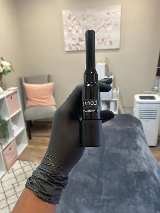 Lavish Aesthetics Picture 5